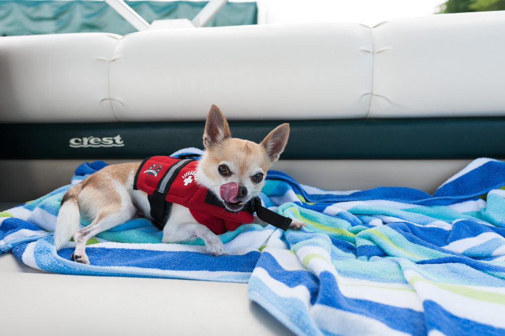 GLB_201608060513_0123